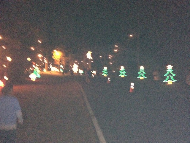 Sleigh Bell Trot 2012 014