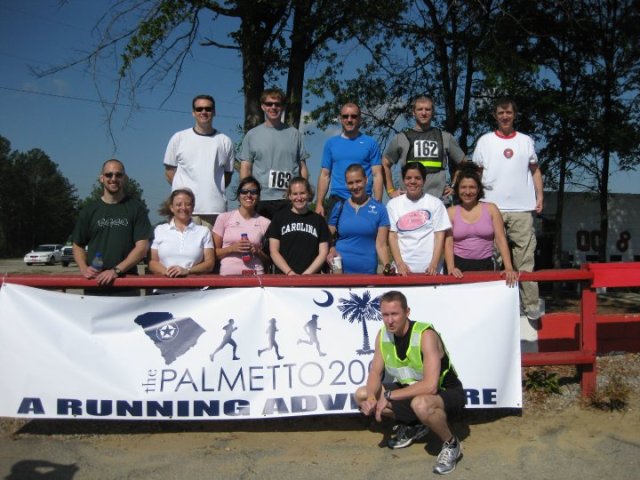palmetto 2010